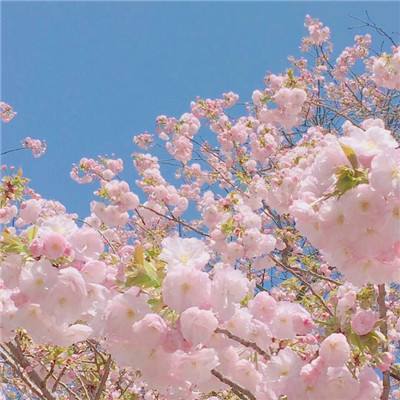 泣神曲手游官方最新版下载