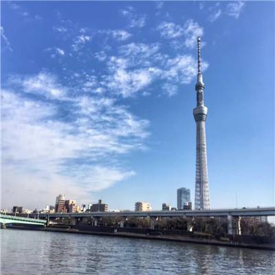 海滩清扫beach clean下载